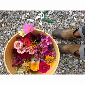 Meet your Posher, Margee